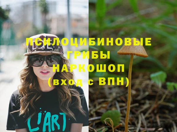 гидропоника Алексин