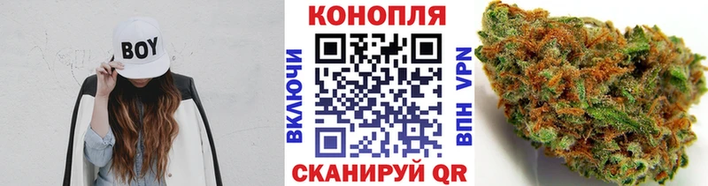 Каннабис планчик  дарнет шоп  Шатура 